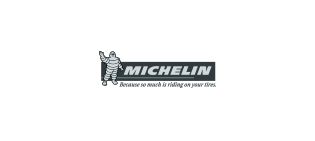 logo_home_michelin